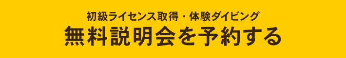 【初級ライセンス取得・体験ダイビング】無料説明会を予約する